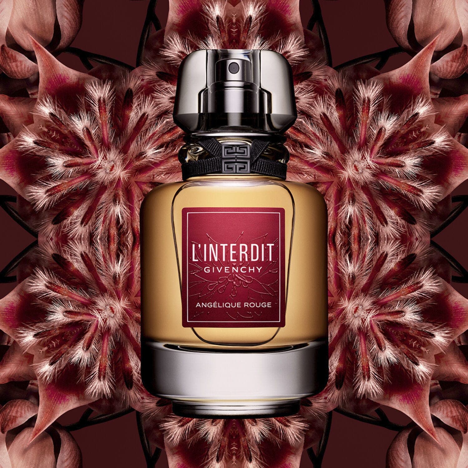 L'interdit Angelique Rouge