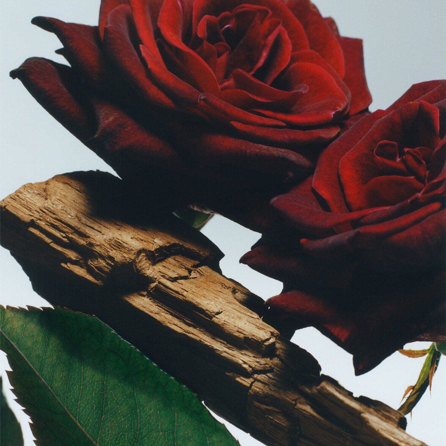 Velvet Rose & Oud All Over Body Spray