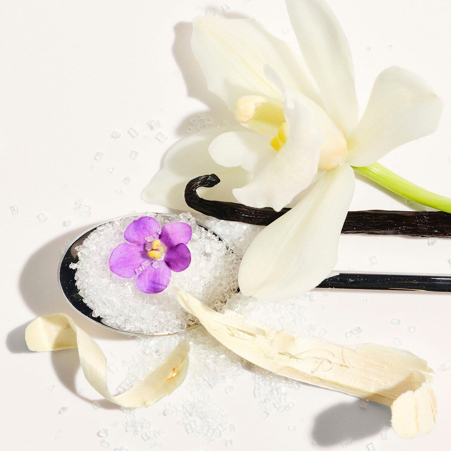 Delícia Drench™ Body Butter