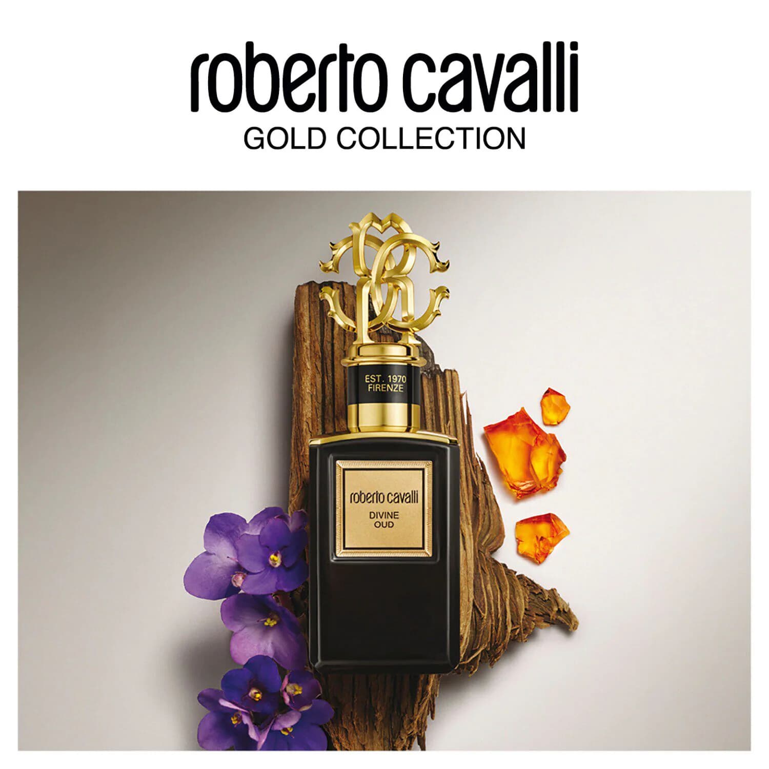 Gold Collection Divine Oud Eau de Parfum
