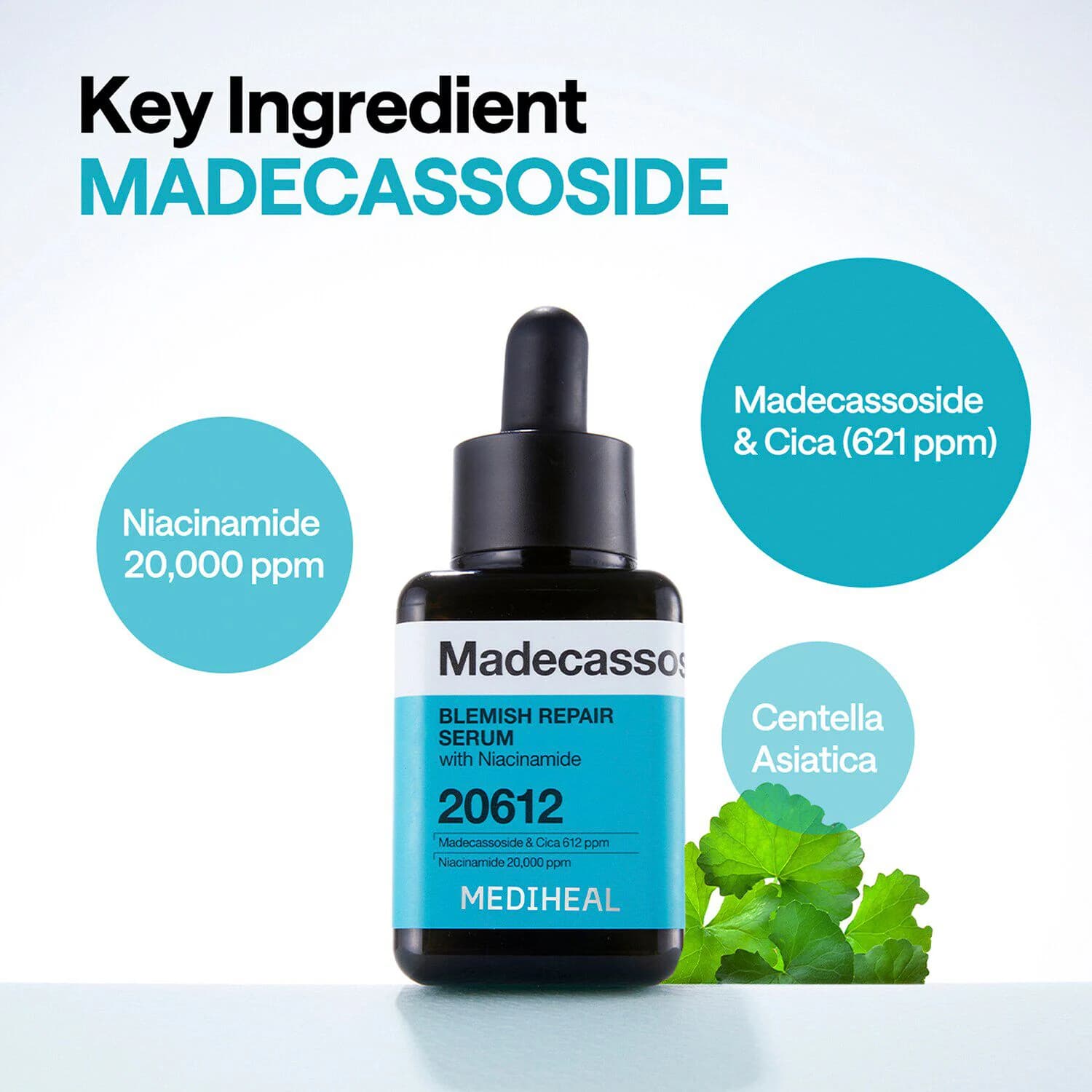 Madecassoside Serum