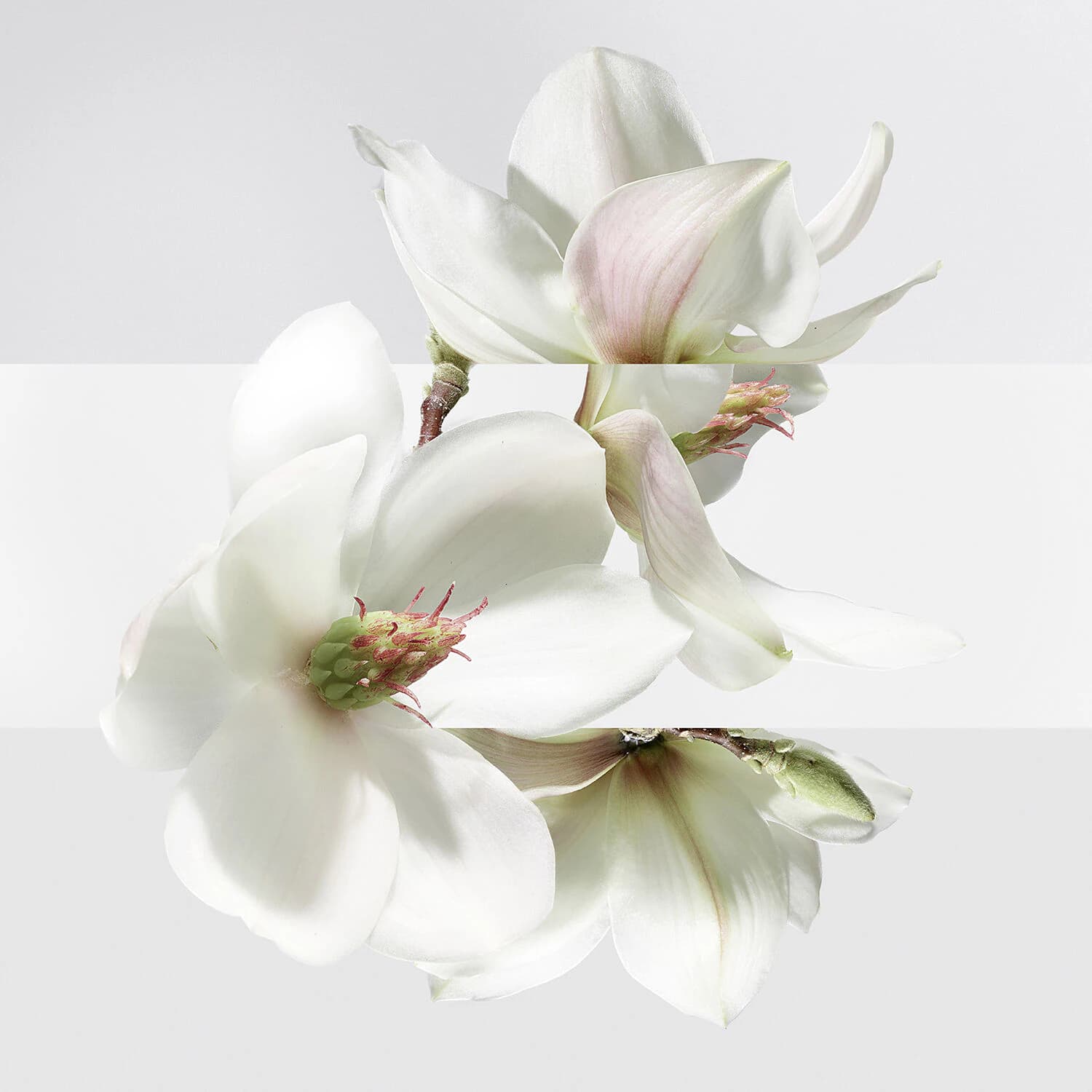 Un Jardin sur la Lagune Eau de toilette