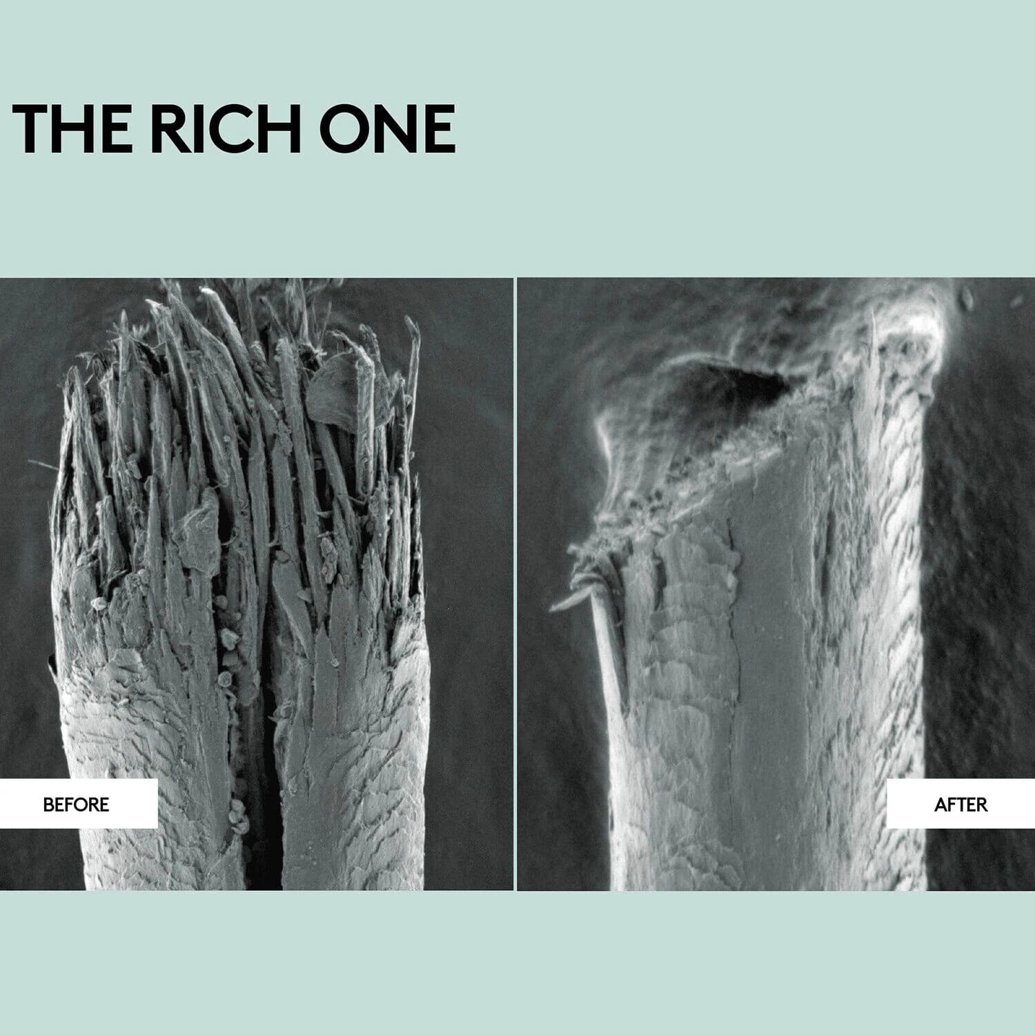 The Rich One Moisture Repair Conditioner