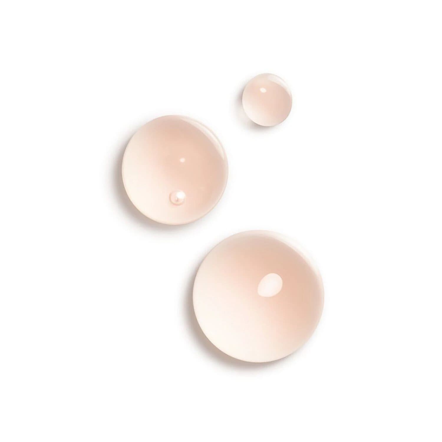 L'HUILE CAMÉLIA - Hydrating & Fortifying Oil