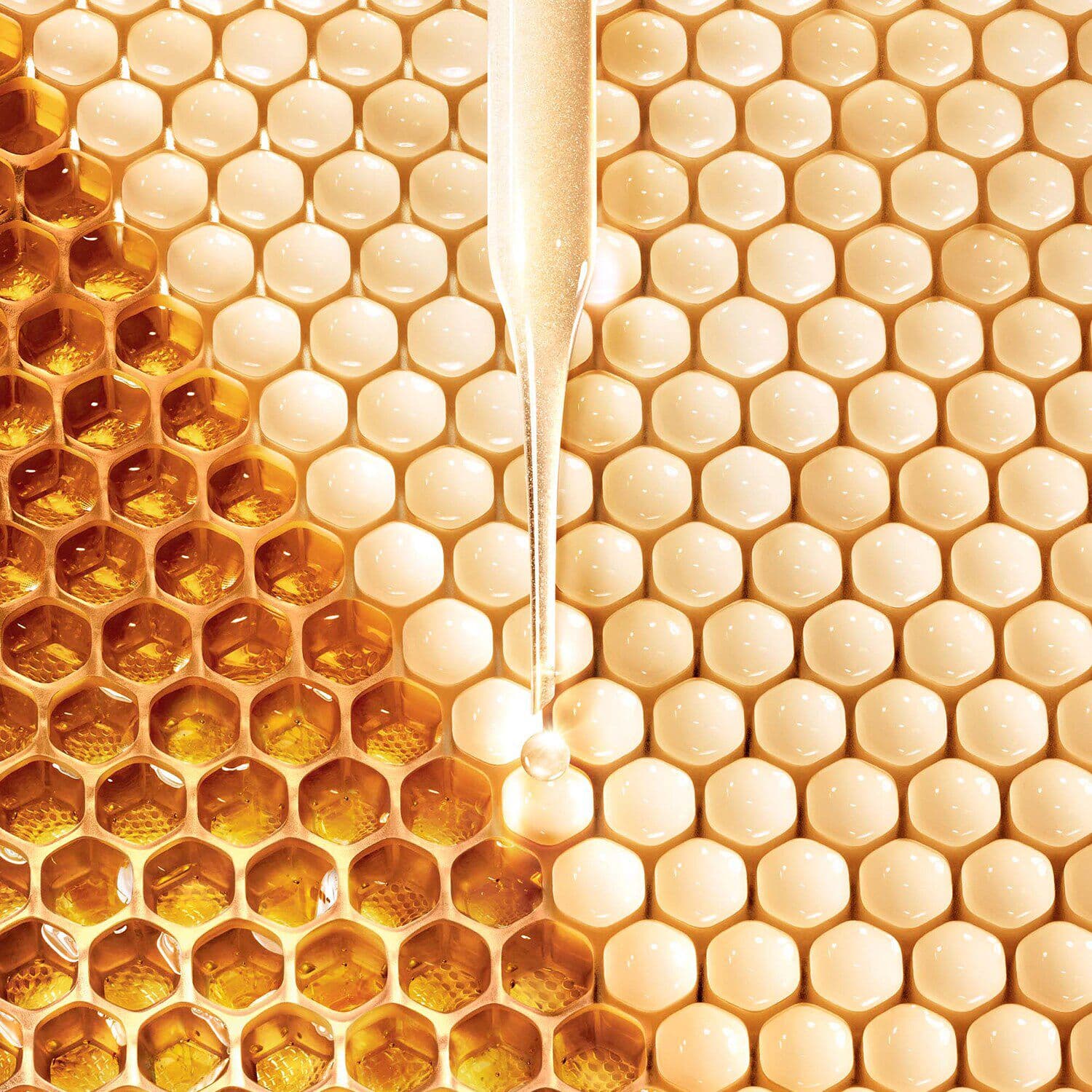 Abeille Royale Cleansing Oil Anti-Pollution