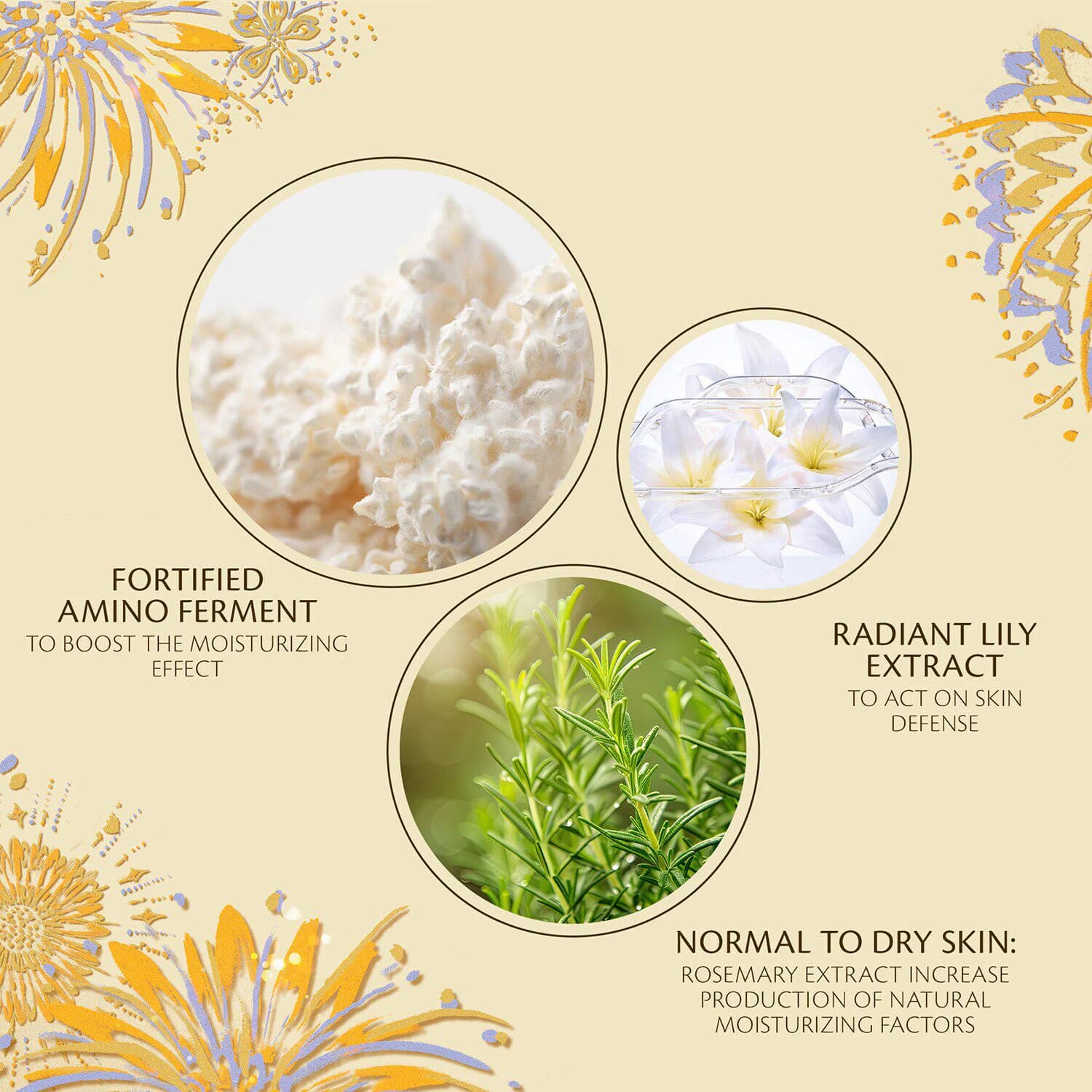 Hydro Softening Essence Lotion - Limited Edition