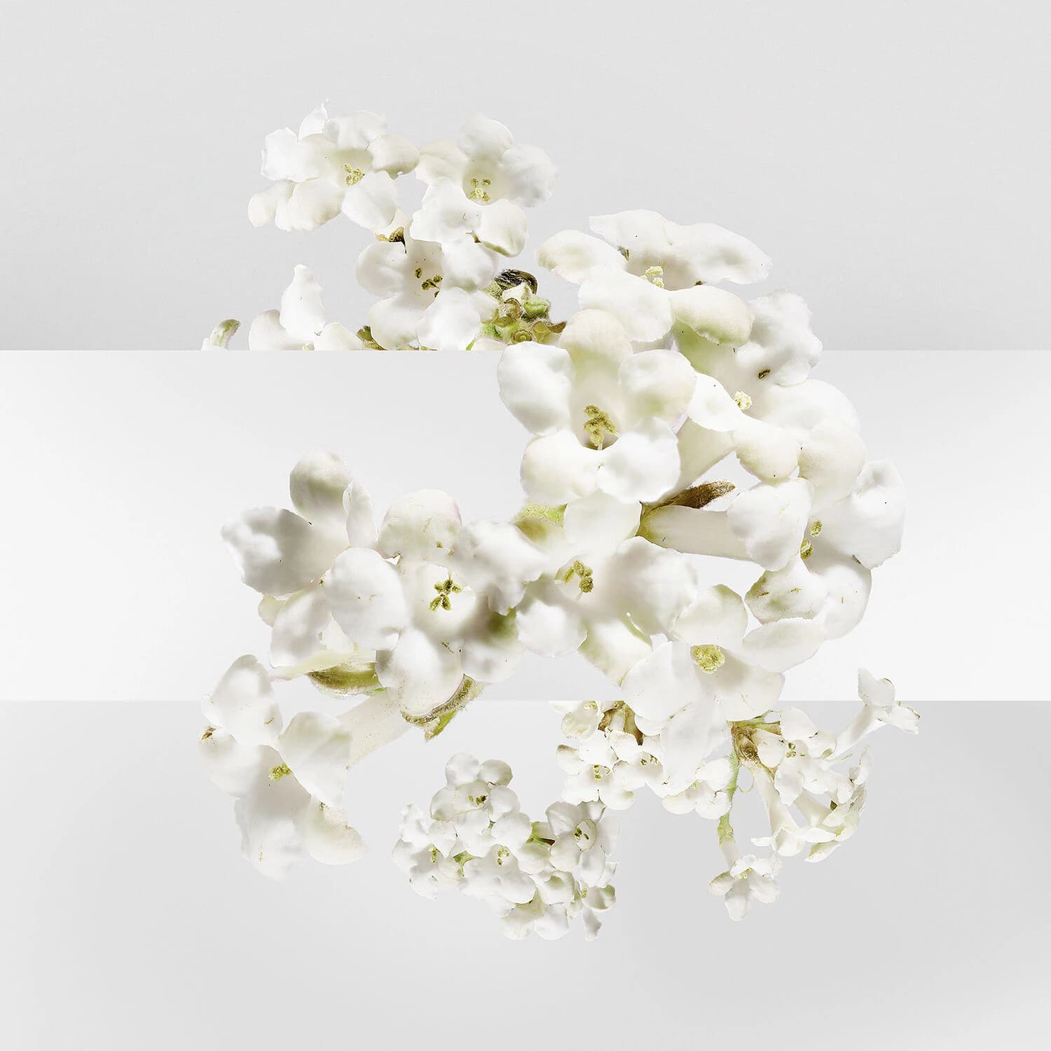Un Jardin sur la Lagune Eau de toilette