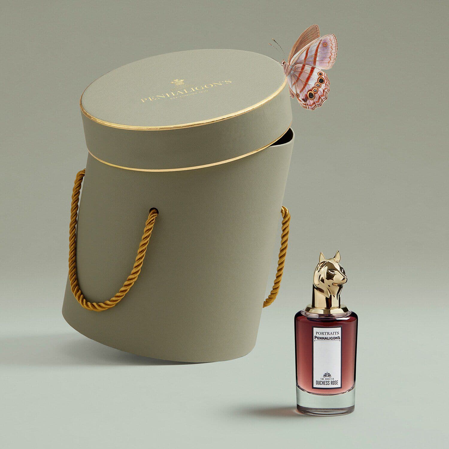 DUCHESS ROSE