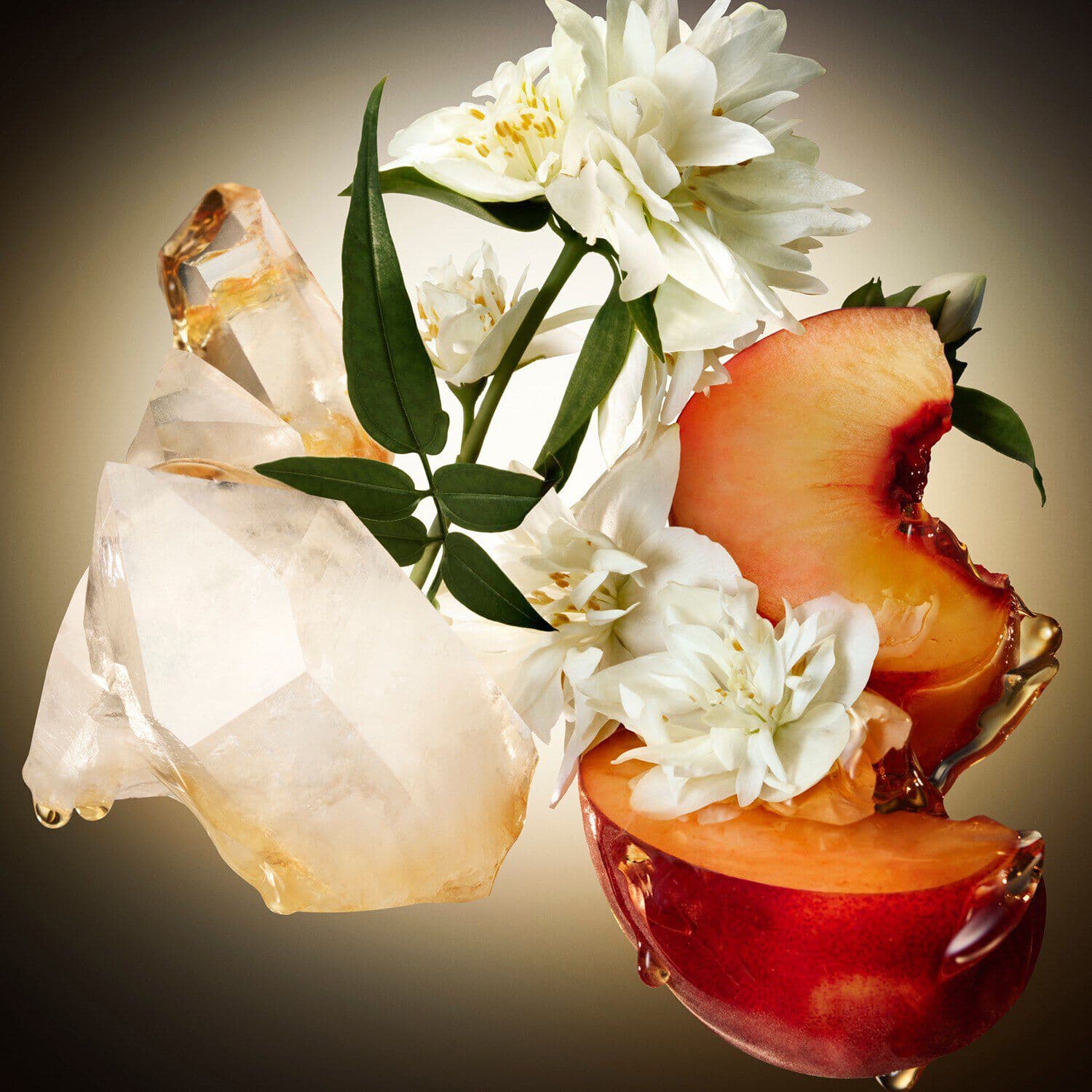 The Scent - Eau de Parfum