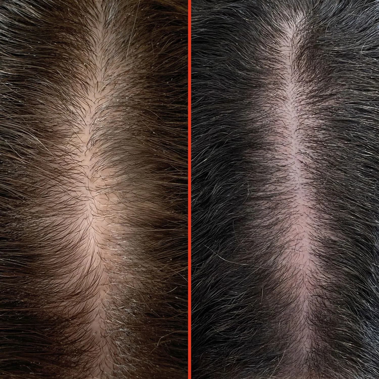 HoliRoots Hair Oil