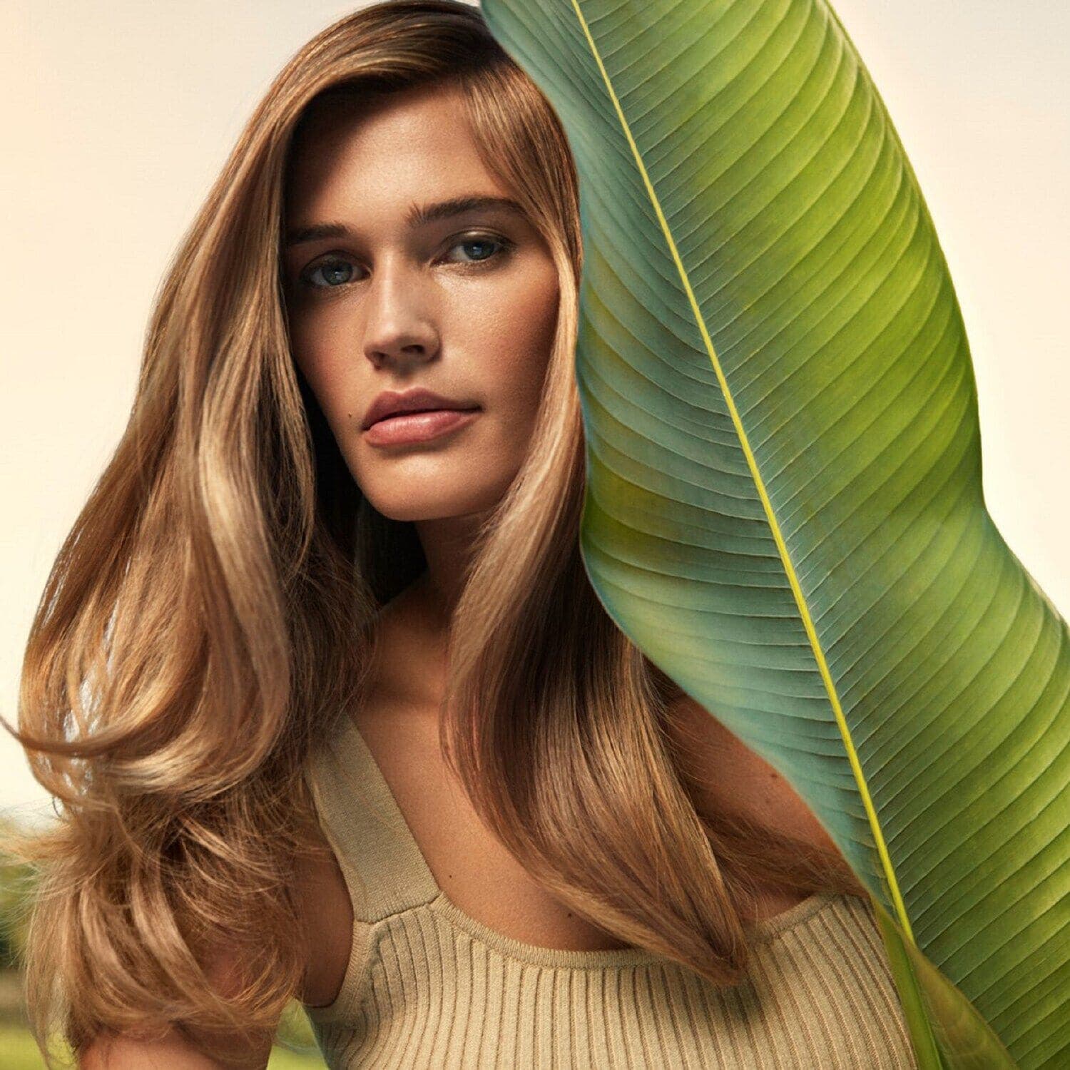 Nutriplenish Conditioner Deep