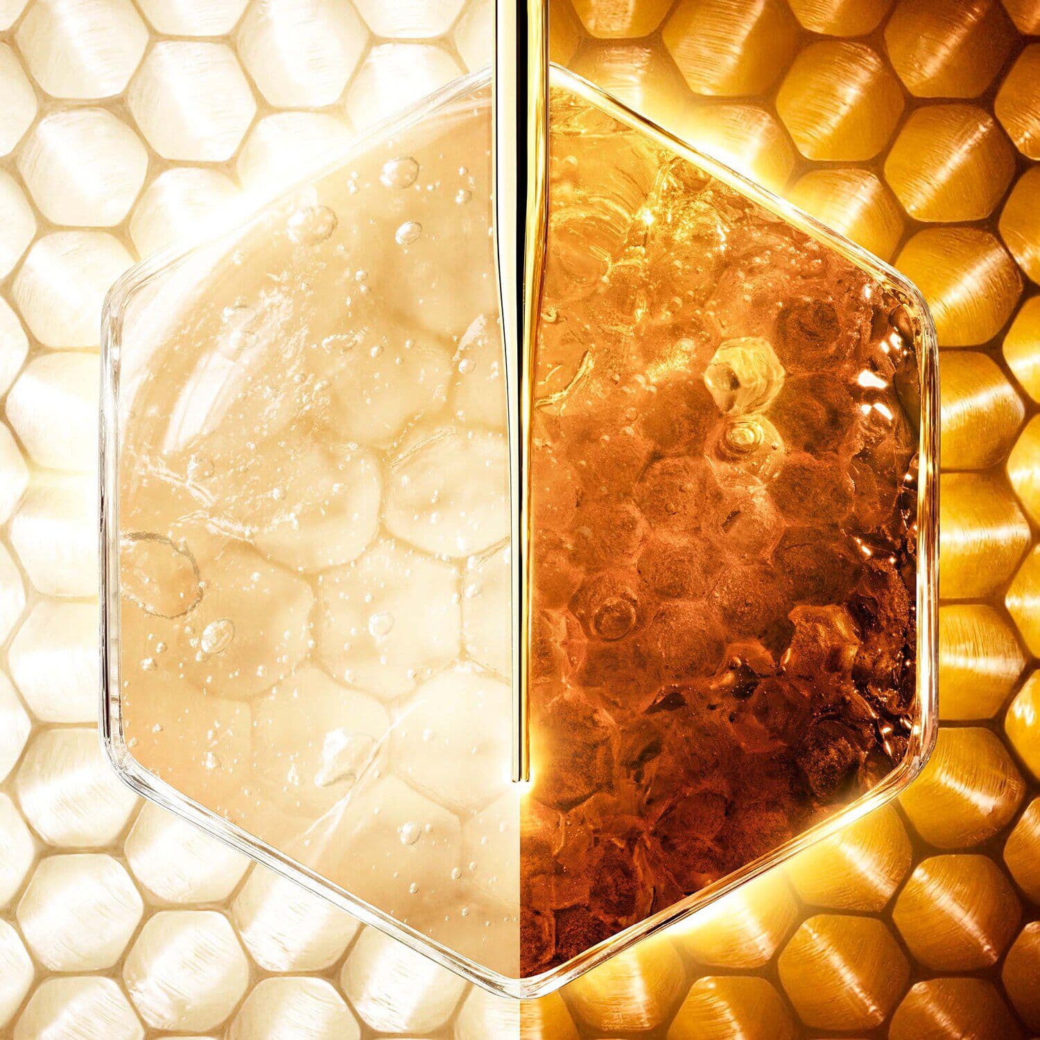 Abeille Royale - Honey Treatment Day Cream